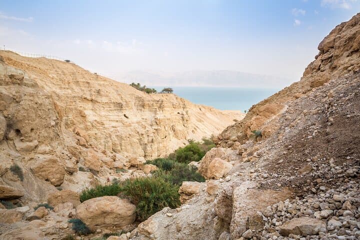 Masada, Ein Gedi & the Dead Sea: Full-Day Private Tour from Tel Aviv photo 5