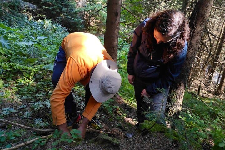 Foraging Bulgaria: Culinary Mushroom & Botanical Tour Near Sofia photo 2