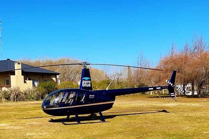 Buenos Aires Helitour: Skyline Flight and Tigre Delta Lunch