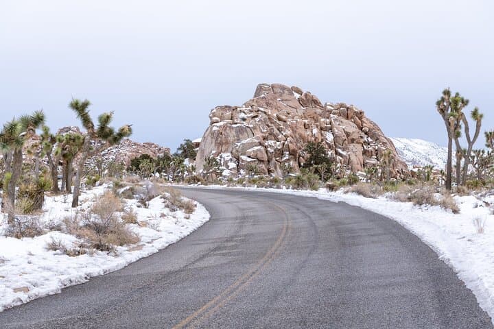 Self-Guided Audio Drive Through Joshua Tree National Park photo 6
