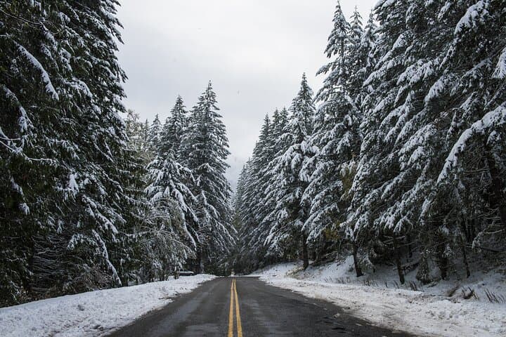 Explore Olympic National Park: Self-Guided Driving Audio Tour of Rainforest, Coast & Mountains photo 4