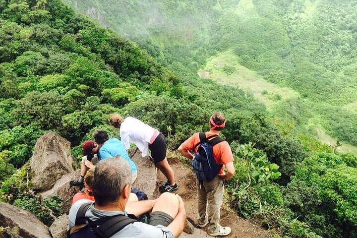 Conquer Mount Liamuiga: 7-Hour Hike to St. Kitts' Volcanic Crater