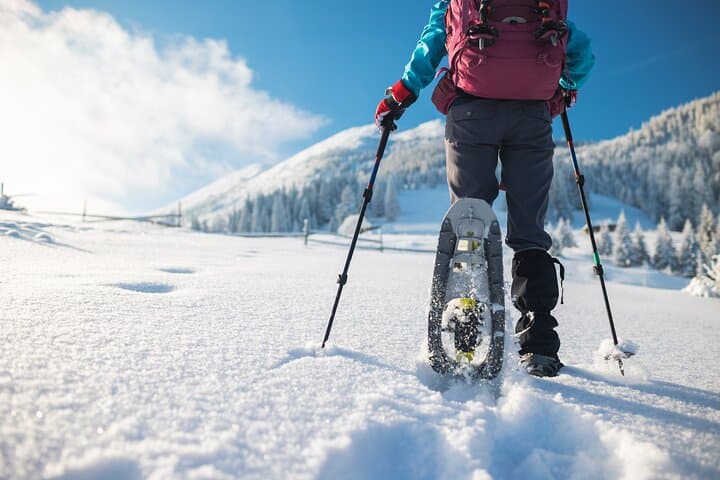 Snowshoeing Mount Etna: Guided Winter Hike and Lava-Tunnel Exploration