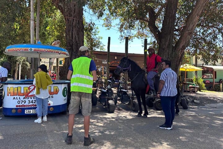 Storms River Horse Trails: 2-Hour Guided Ride in Tsitsikamma National Park