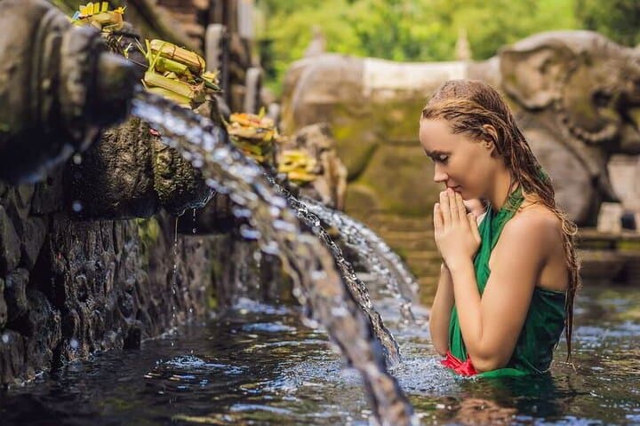 Ubud Spring Temple, Waterfall & Rice Terraces Private Day Tour