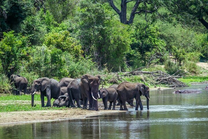 2-Day Kruger Safari & Panorama Route from Hazyview — Big Five and Blyde River Canyon photo 6