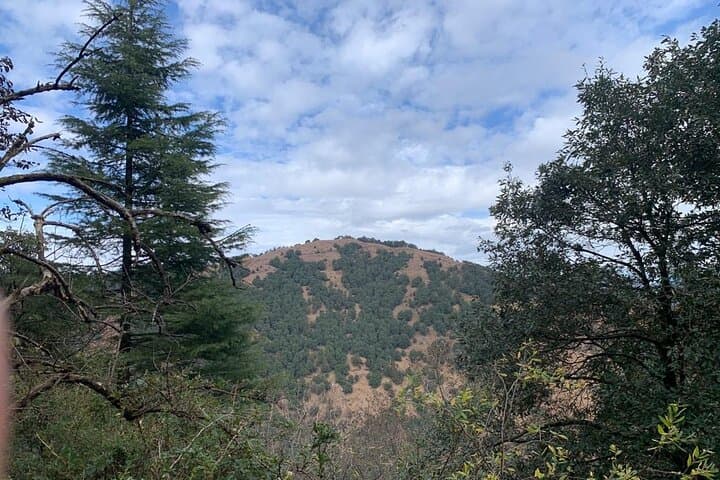 Trek to Benog Tibba: Day Hike from Cloud's End in Mussoorie photo 5