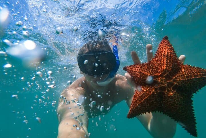 Punta Cana Private Catamaran Snorkel Cruise to Cabeza de Toro photo 6