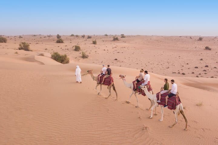 Dubai Frame & Desert Safari Combo: Sky Deck Views, Dune Bashing and Bedouin Dinner