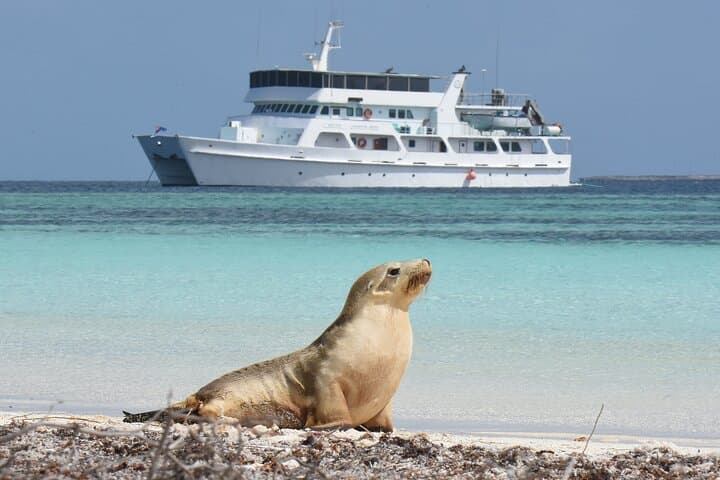 Abrolhos Islands 5-Day Expedition Cruise from Geraldton photo 6