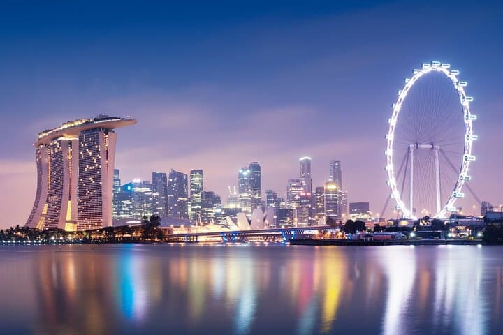 private-singapore-highlights-tour-with-singapore-flyer photo 5