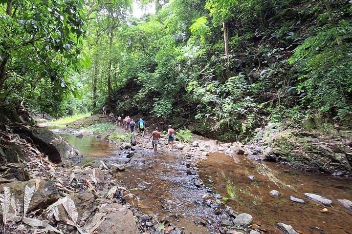 Embera Village and Chagres Waterfall Canoe Tour from Panama City photo 3