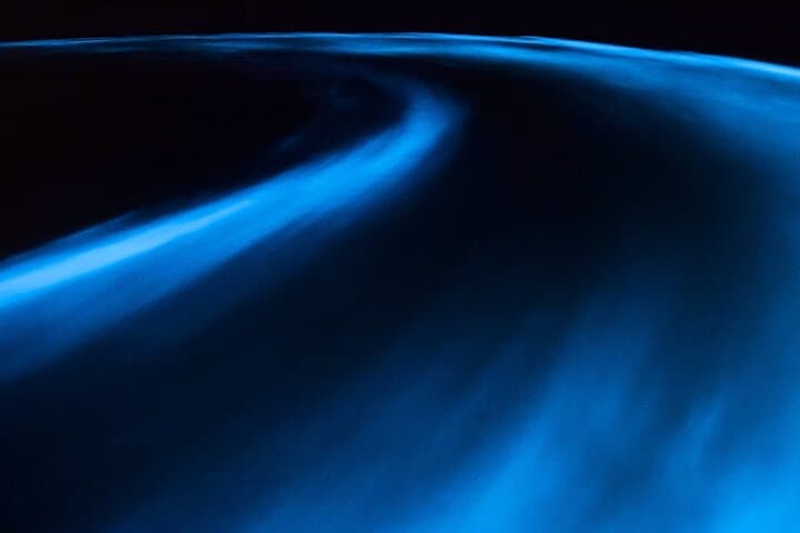 Luminous Lagoon Night Boat Tour from Runaway Bay photo 5