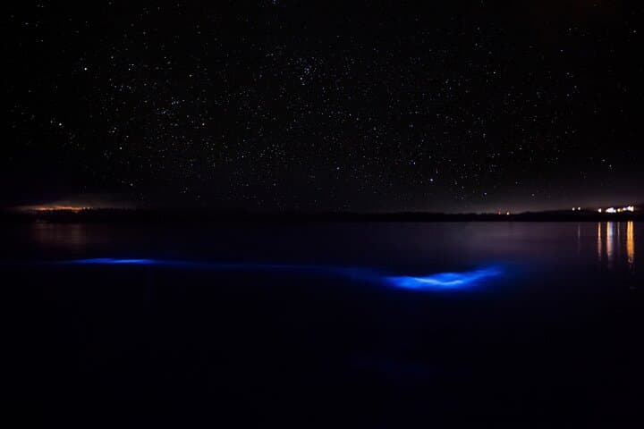 Luminous Lagoon Night Boat Tour from Runaway Bay photo 3