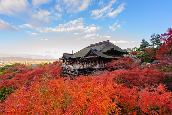 Custom Half-Day Kyoto Private Tour: Tailor Your City Highlights photo 6