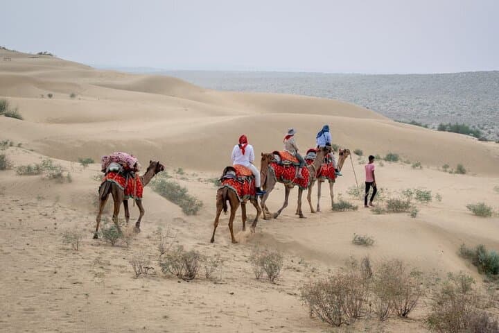 Half-Day Sunset Camel Safari in Jaisalmer — Off-Track Thar Desert Experience