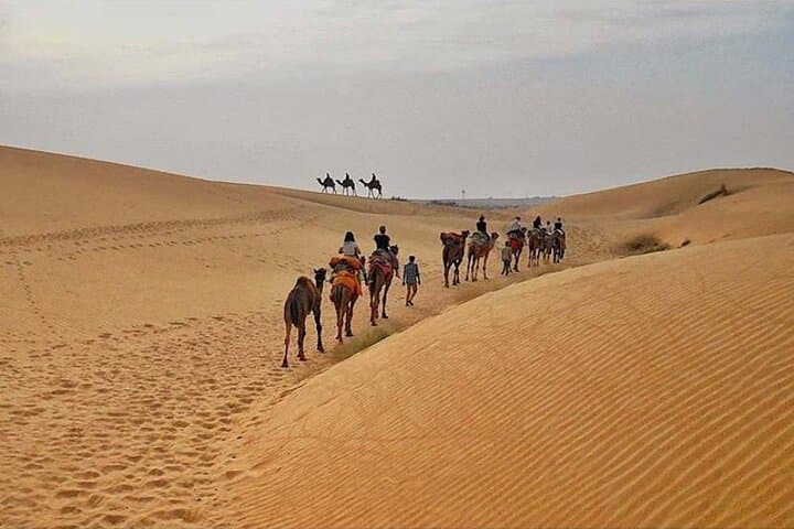 Half-Day Sunset Camel Safari in Jaisalmer — Off-Track Thar Desert Experience photo 2