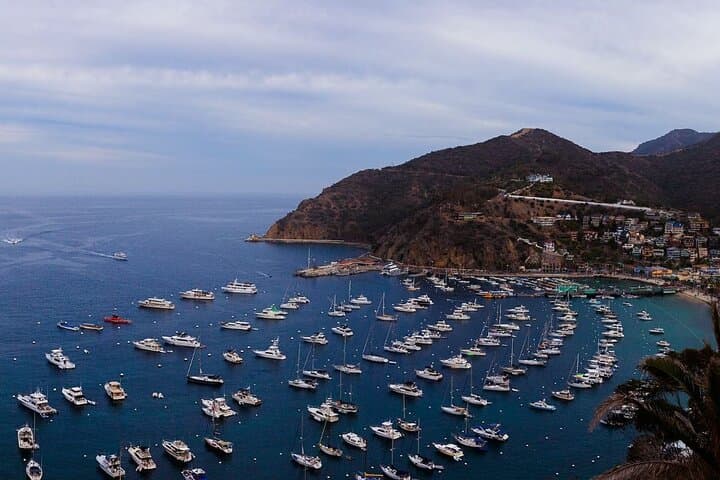 Catalina Island Ferry: Avalon to Newport Beach — Catalina Flyer Guide photo 5