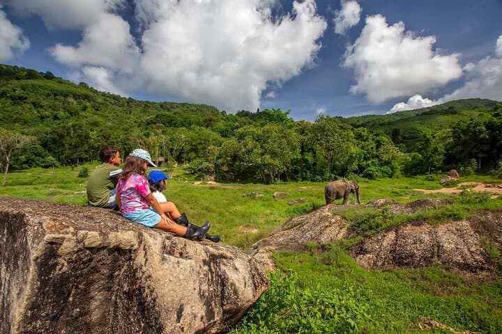 2-Hour Ethical Elephant Encounter at Phuket Nature Park photo 3