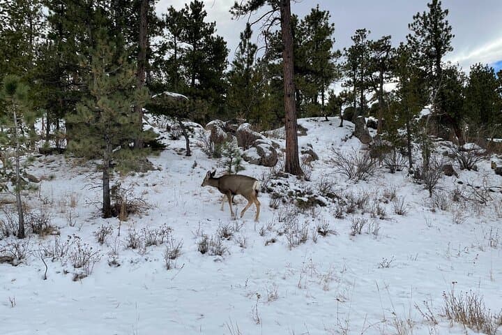 Hike Horsetooth: Guided Hiking Tours Near Fort Collins for All Levels photo 6