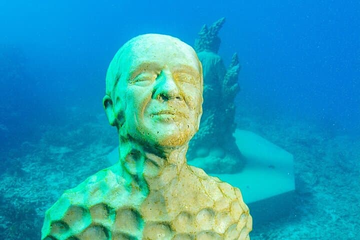 John Brewer Reef & MOUA Snorkeling Day Trip from Townsville: What to Expect photo 4