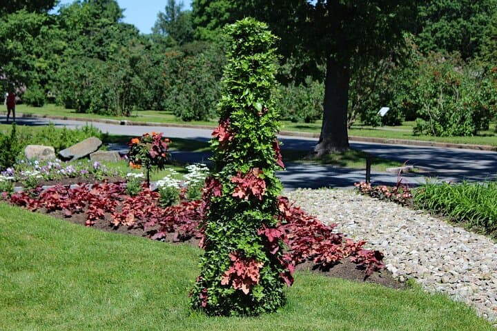 Private Montreal Garden Tour from Kingstown — Guided Botanical Excursion photo 5