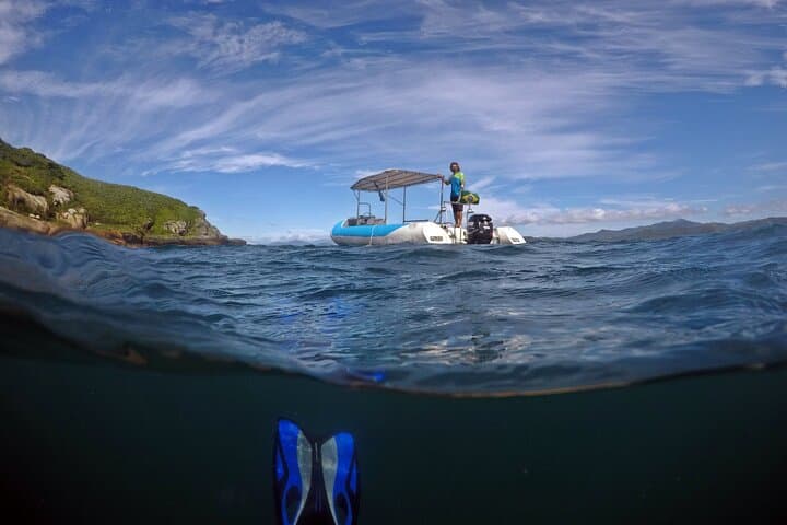 Baptism Dive with Turtles at Xavier Island — Beginner Scuba in Florianópolis photo 5