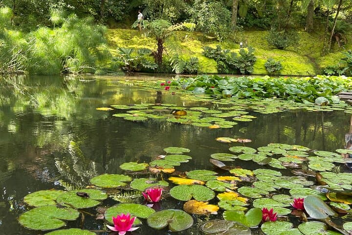 Full-Day Furnas Valley Volcano Tour: Thermal Pools, Fumaroles & Terra Nostra Park photo 3