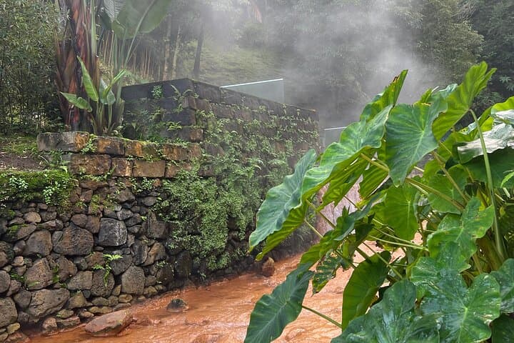 Full-Day Furnas Valley Volcano Tour: Thermal Pools, Fumaroles & Terra Nostra Park photo 6