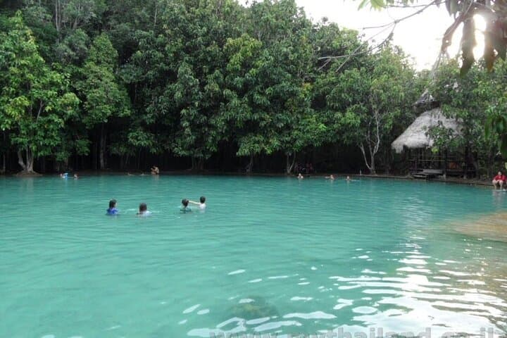Krabi Jungle Tour — Emerald Pool, Hot Spring Waterfall & Tiger Cave Temple Day Trip photo 3