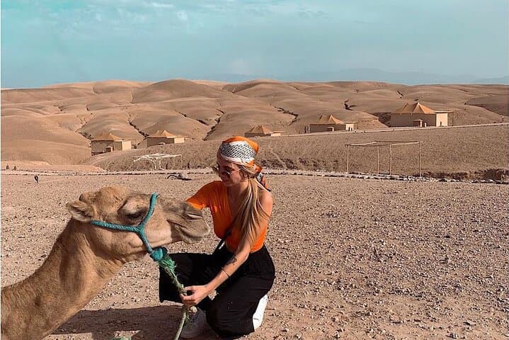 Majorelle Garden & Agafay Camel Ride: Marrakech Day Trip with Lunch photo 6