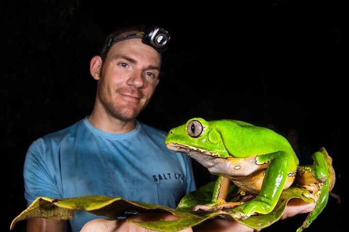 4-Day Cuyabeno Amazon Adventure: Canoes, Piranhas & Night Walks