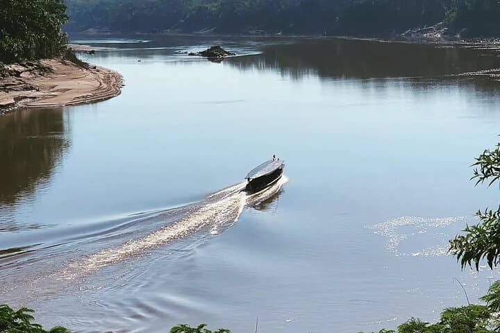 Andes-to-Amazon: 5-Day Cloud-Forest to Tambopata Jungle Expedition photo 5