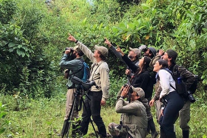 Andes-to-Amazon: 5-Day Cloud-Forest to Tambopata Jungle Expedition
