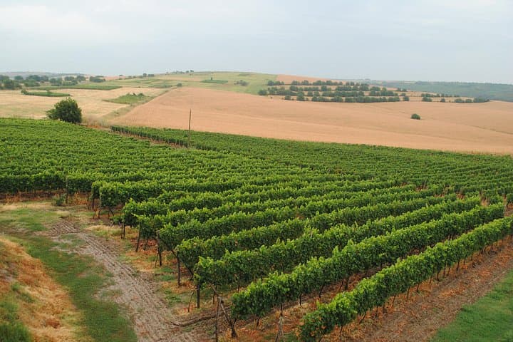 E‑bike Wine Tour from Varna to the Bulgarian Coast photo 2