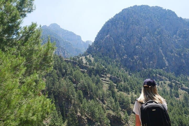 White Mountains & Samaria Gorge Safari — Omalos Plateau, Kallergi Refuge & Samaria National Park photo 3