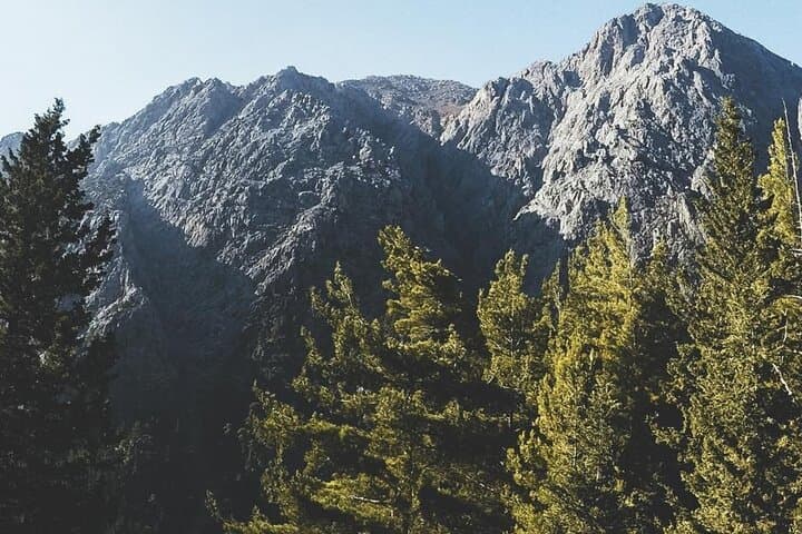 White Mountains & Samaria Gorge Safari — Omalos Plateau, Kallergi Refuge & Samaria National Park photo 4