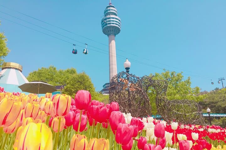 Busan Sky Capsule Cherry Blossom & Spring Flower Day Tour photo 6