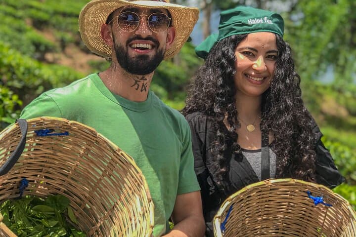 Tea Plantation Tour in Ella: Hands-On Ceylon Tea Experience at Sky Café photo 4