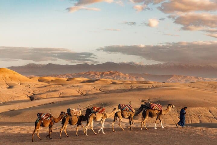 Agafay Desert Dinner and Sunset Camel Ride from Marrakech photo 3