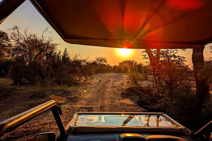 Early-Morning Safari Game Drive in Zambezi National Park, Zimbabwe