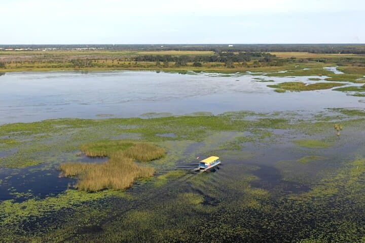 90-Minute Everglades Pontoon Eco Tour from Kissimmee photo 5