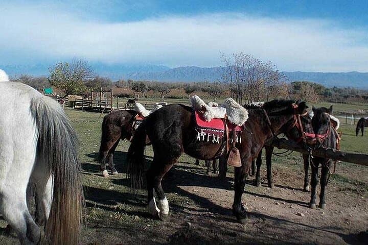 Horseback Riding with Gauchos and Native Empanadas in Lunlunta, Mendoza photo 3