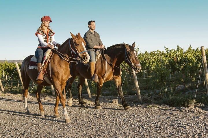 Horseback Riding with Gauchos and Native Empanadas in Lunlunta, Mendoza photo 2