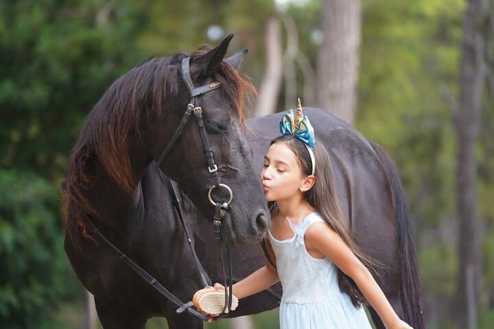 Horseback Trail Ride on the Lycian Foothills: 2-Hour Shared Ride from Kemer photo 3