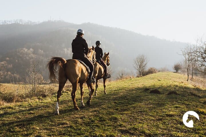 Expert Horseback Ride Between Lake Como and the Mountains photo 3