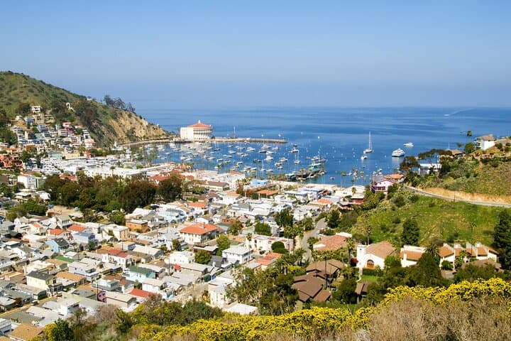 Avalon Highlights Walking Tour — Catalina Island Self-Guided Walk with Pintours App