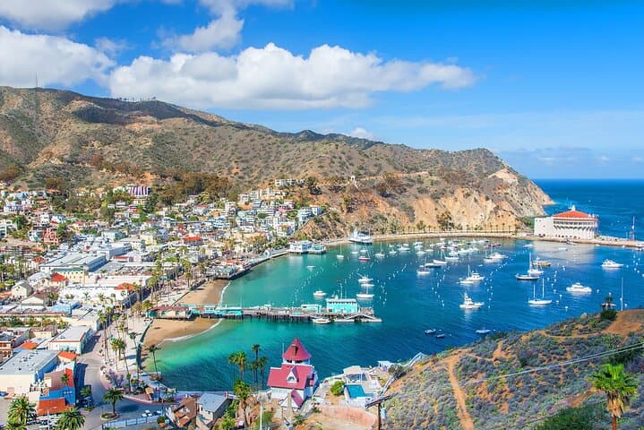 Avalon Highlights Walking Tour — Catalina Island Self-Guided Walk with Pintours App photo 2