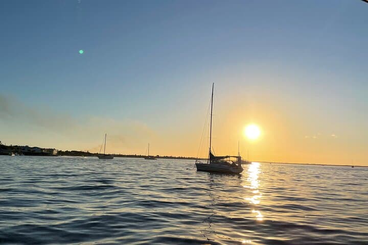 Key Largo Bay Dolphin Sunset Tour — Evening Dolphin Watching & Sunset Cruise photo 6