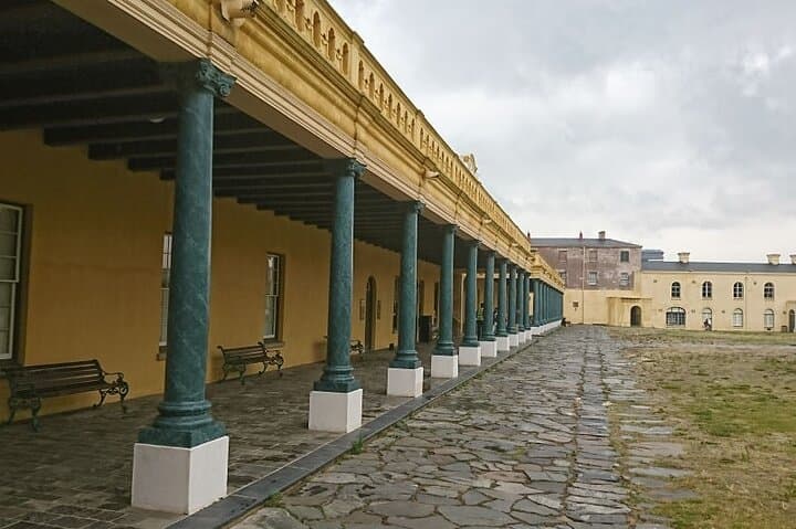 One-Day Cape Town: Table Mountain, Robben Island & Cape Peninsula Private Tour photo 5